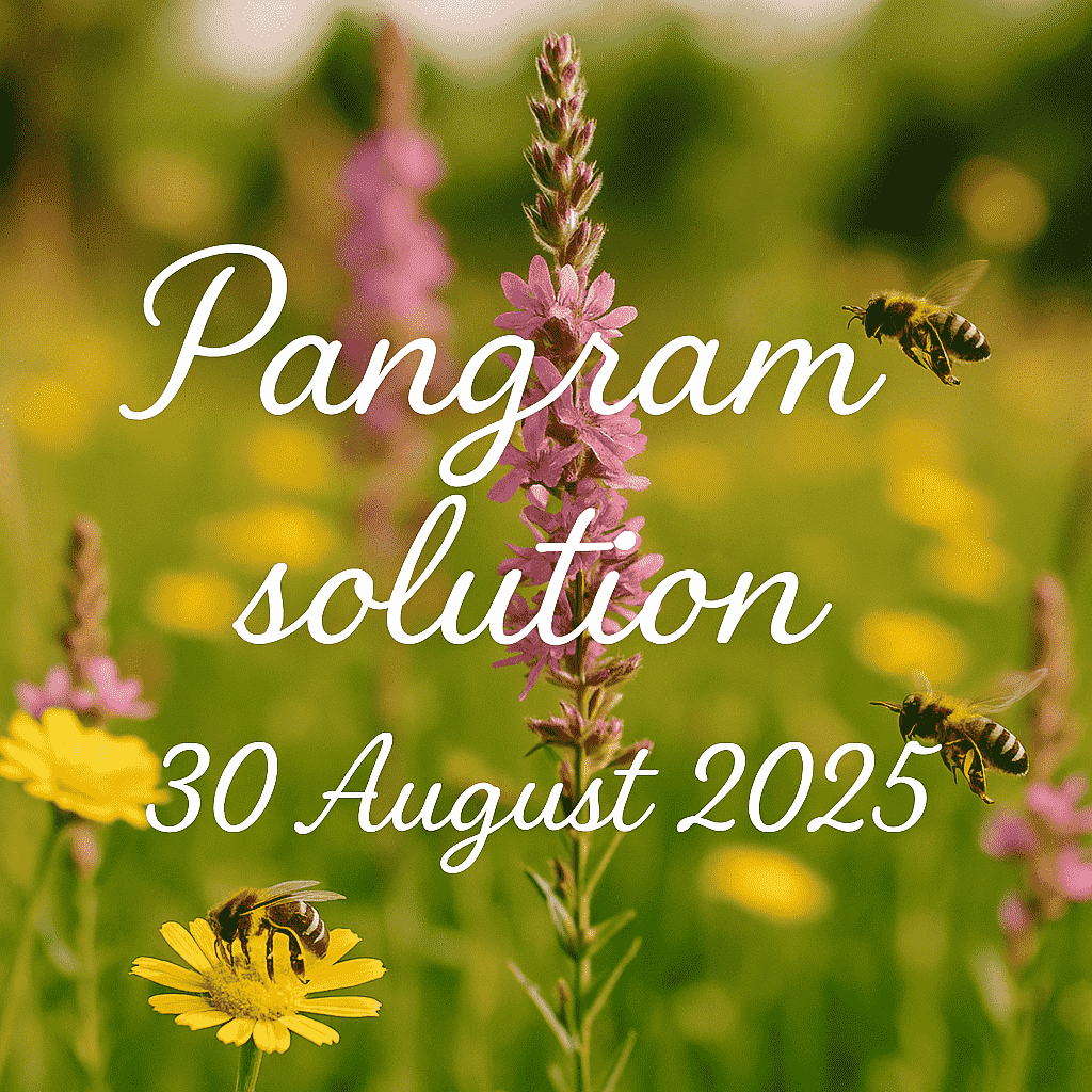 pangram solution 30 august 2025