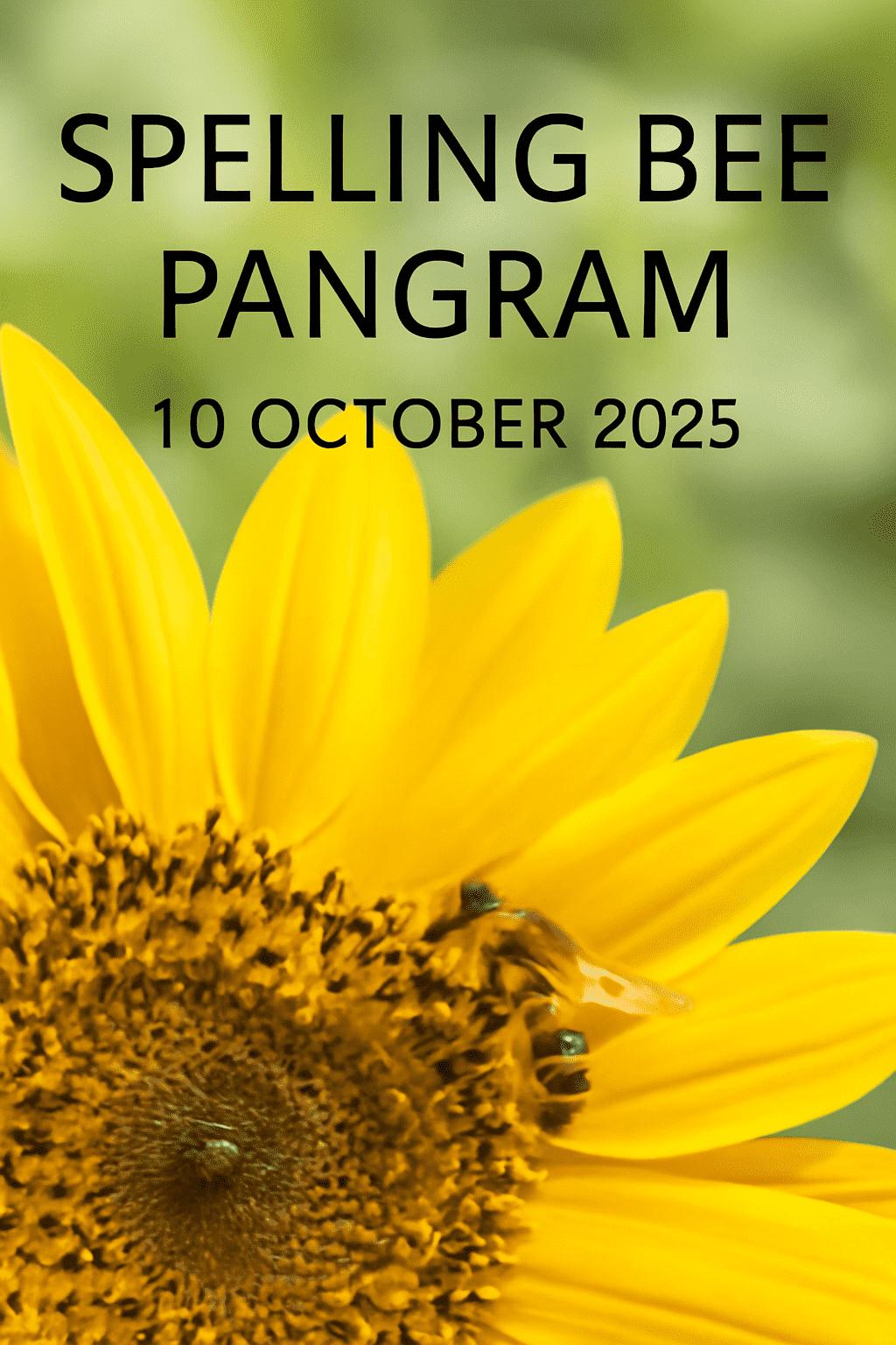 pangram 10 oct