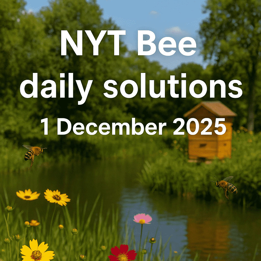daily solution 1 dec 2025
