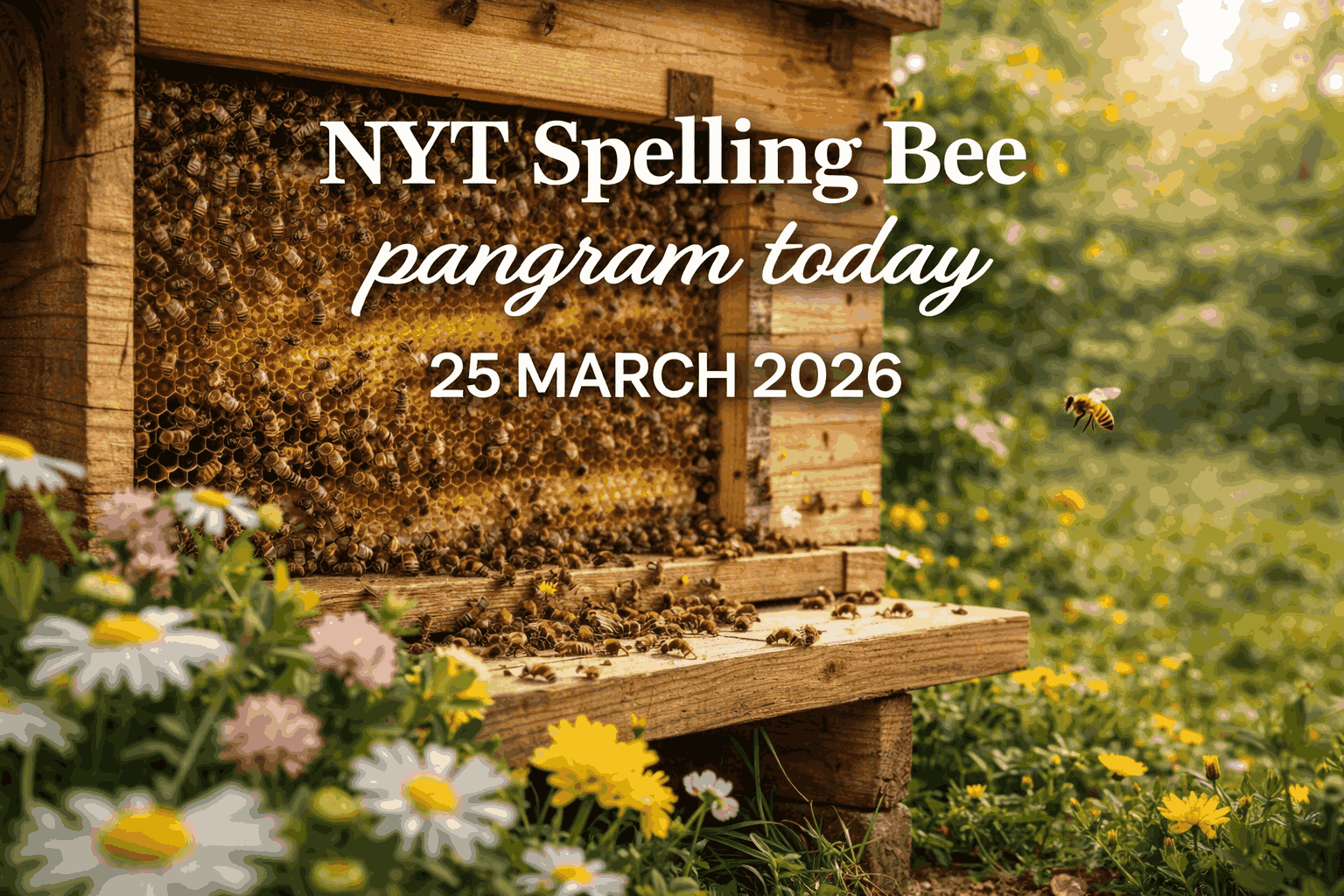 pangram 25 march 2026